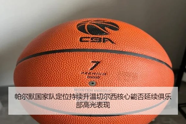 pa-er-mo-guo-jia-dui-ding-wei-chi-xu-sheng-wen-qie-er-xi-he-xin-neng-fou-yan-xu-ju-le-bu-gao-guang-biao-xian-2-284.jpg